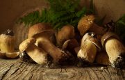 Herbs for Liver Cancer