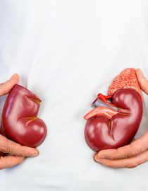 Understanding How Kidney Cancer Spreads Understanding How Kidney Cancer Spreads