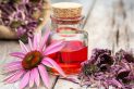Herbs for Kidney Cancer