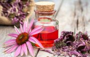 Herbs for Kidney Cancer