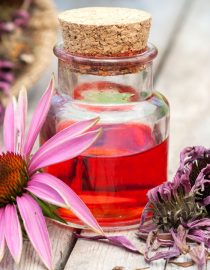 Using Herbs for Kidney Cancer Symptom Relief Using Herbs for Kidney Cancer Symptom Relief