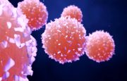 Cancer Cells or Lymphocytes